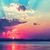 Tammi Don Robinson's profile image