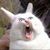 Penny Coffman-Imotichey's profile image