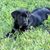 Linda Horning Dagostino's profile image