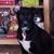 Kris Martini Farnsworth's profile image