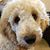 Kathy Miller's profile image