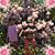 Amit Kumar's profile image