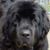 Ellen Richardson Lamke's profile image