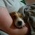 Michelle Phillips's profile image