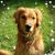 Kelly Kosinski's profile image