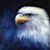 Michael Espinoza's profile image