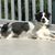 Nora Haase's profile image
