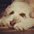 Eva Wehner Klemp's profile image