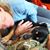 Lynn Bobzin's profile image