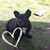 Denise Fessenden's profile image