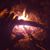 Anne Knipper's profile image