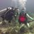 Jenny Isaly Allebach's profile image