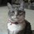 Marjorie Whitten's profile image