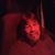 Mike Kent's profile image
