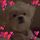 Chris M.'s profile image