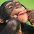 Trish Laine Appel's profile image