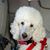 Bonnie Annette's profile image