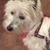 Linda Benson Bowers's profile image