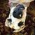 Jim Laidler's profile image