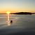 Jeannine Belanger's profile image