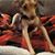 Kelly Lawson Molander's profile image