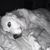 Chris Wiggin's profile image