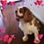 Marietta Swaim's profile image