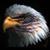 Patty Foster's profile image
