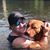 Jocelyn Hursey's profile image