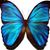 Deborah Bray's profile image