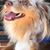 Chris Leer's profile image