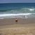 Rebecca Jeffreys Fentress's profile image