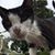 Michelle Adame's profile image