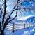 Kim Fuller Burton's profile image