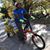 David Karl Zambrano's profile image