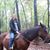 Marilyn Shaw Clegg's profile image