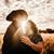 Stephanie Peters's profile image