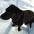 Kathleen Nulty Shoup's profile image