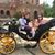 Nancy Heller's profile image