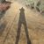 Evan Dickinson's profile image