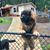 Christine Nagel Gardner's profile image
