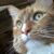 Janet Delmore's profile image