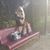 Chantal Pignatelli's profile image