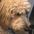Madonna Machado's profile image