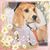 Joanna Bennett Ianni's profile image