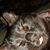 Kate Walker's profile image