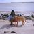 Shauna Meunier's profile image