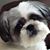 Conita Gaston Livingston's profile image