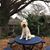 Jane R. Reid's profile image