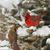 Darla Miller Whitta's profile image